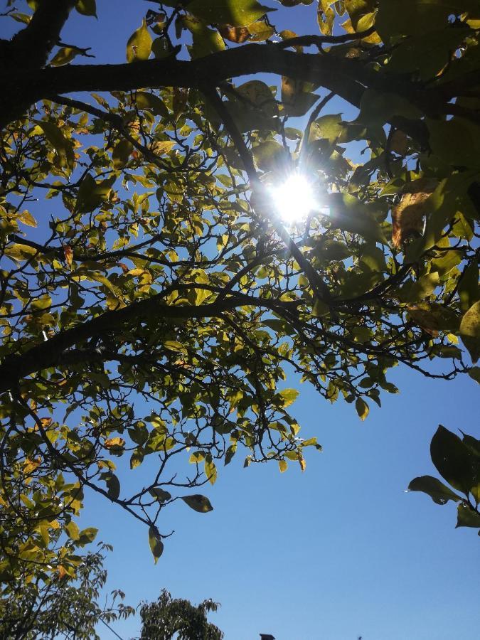 La Stella Delle Alpi Otel Vico Canavese Dış mekan fotoğraf