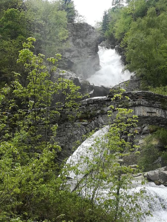 La Stella Delle Alpi Otel Vico Canavese Dış mekan fotoğraf